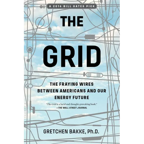The Grid: The Fraying Wires Between Americans and Our Energy Future - Paperback