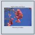 Walk-A-Bout with Plants - Paperback