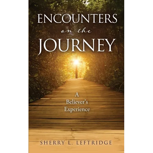 Encounters on the Journey: A Believer's Experience - Paperback