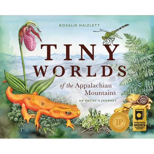 Tiny Worlds of the Appalachian Mountains: An Artist's Journey - Hardcover