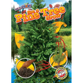 See a Pine Tree Grow - Library Binding