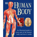 The Human Body: An Illustrated Guide to Every Part of the Human Body and How It Works - Paperback