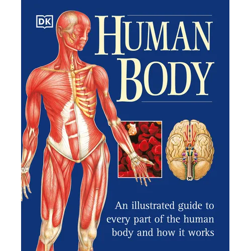 The Human Body: An Illustrated Guide to Every Part of the Human Body and How It Works - Paperback