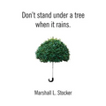 Don't Stand Under a Tree When It Rains - Paperback