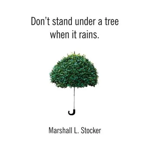 Don't Stand Under a Tree When It Rains - Paperback