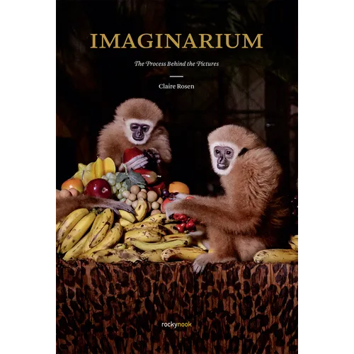 Imaginarium: The Process Behind the Pictures - Paperback