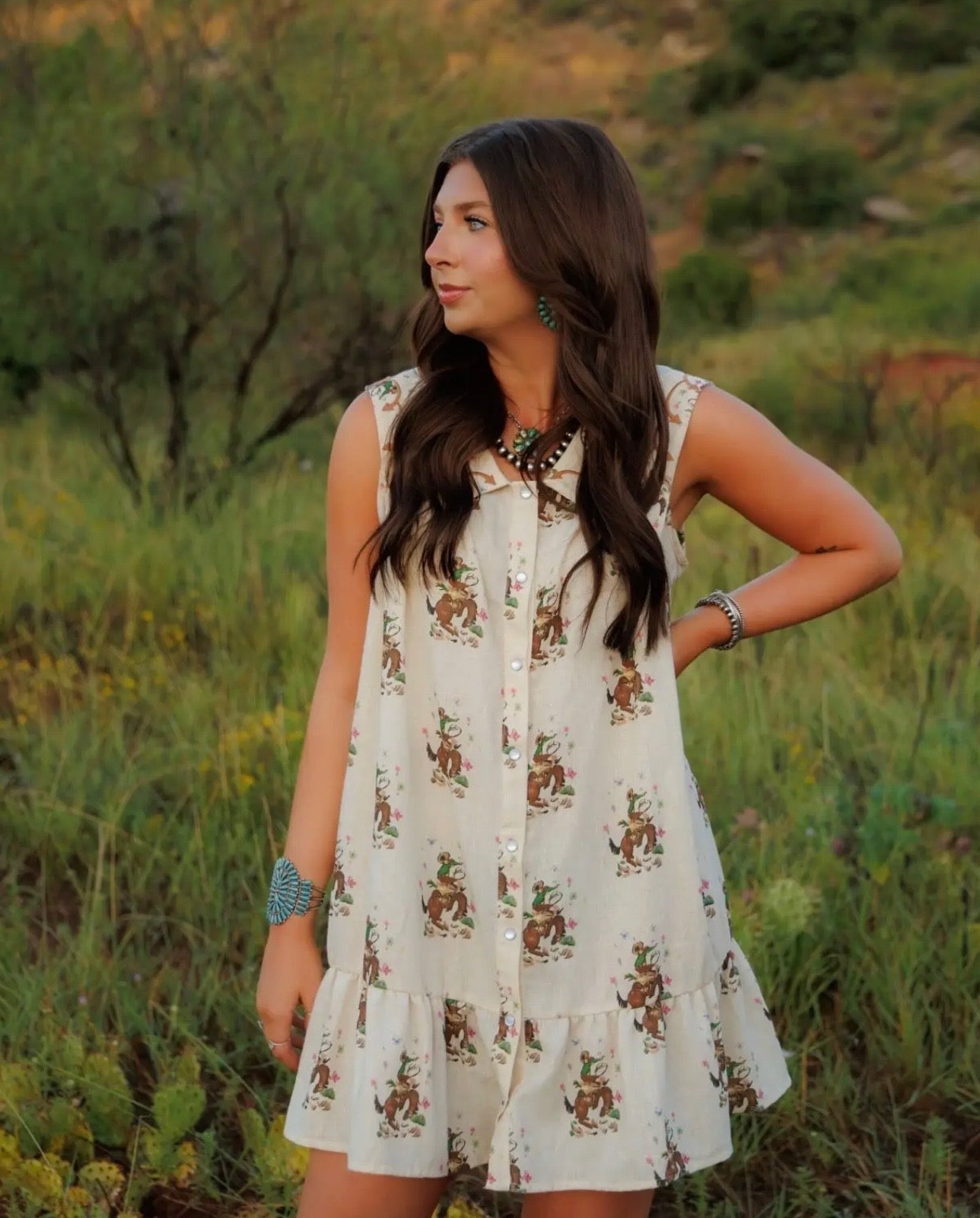 The Embroidered Cowboy Print Dress