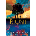 Brush - Paperback