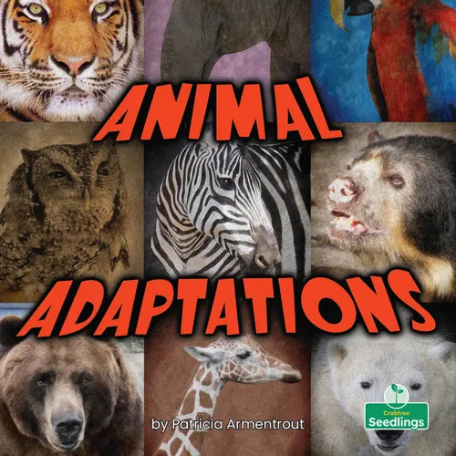 Animal Adaptations - Paperback