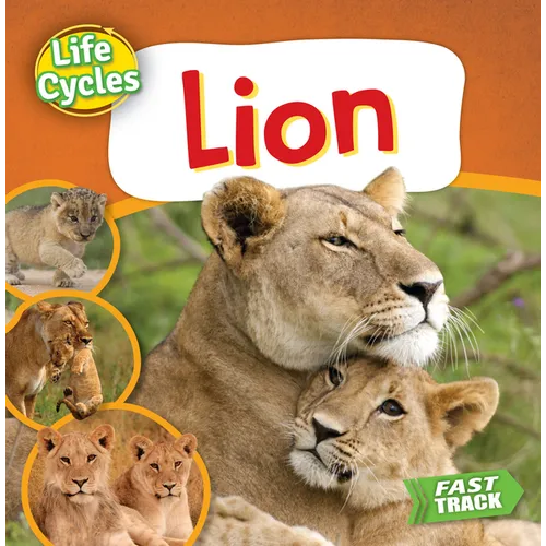 Lion - Paperback