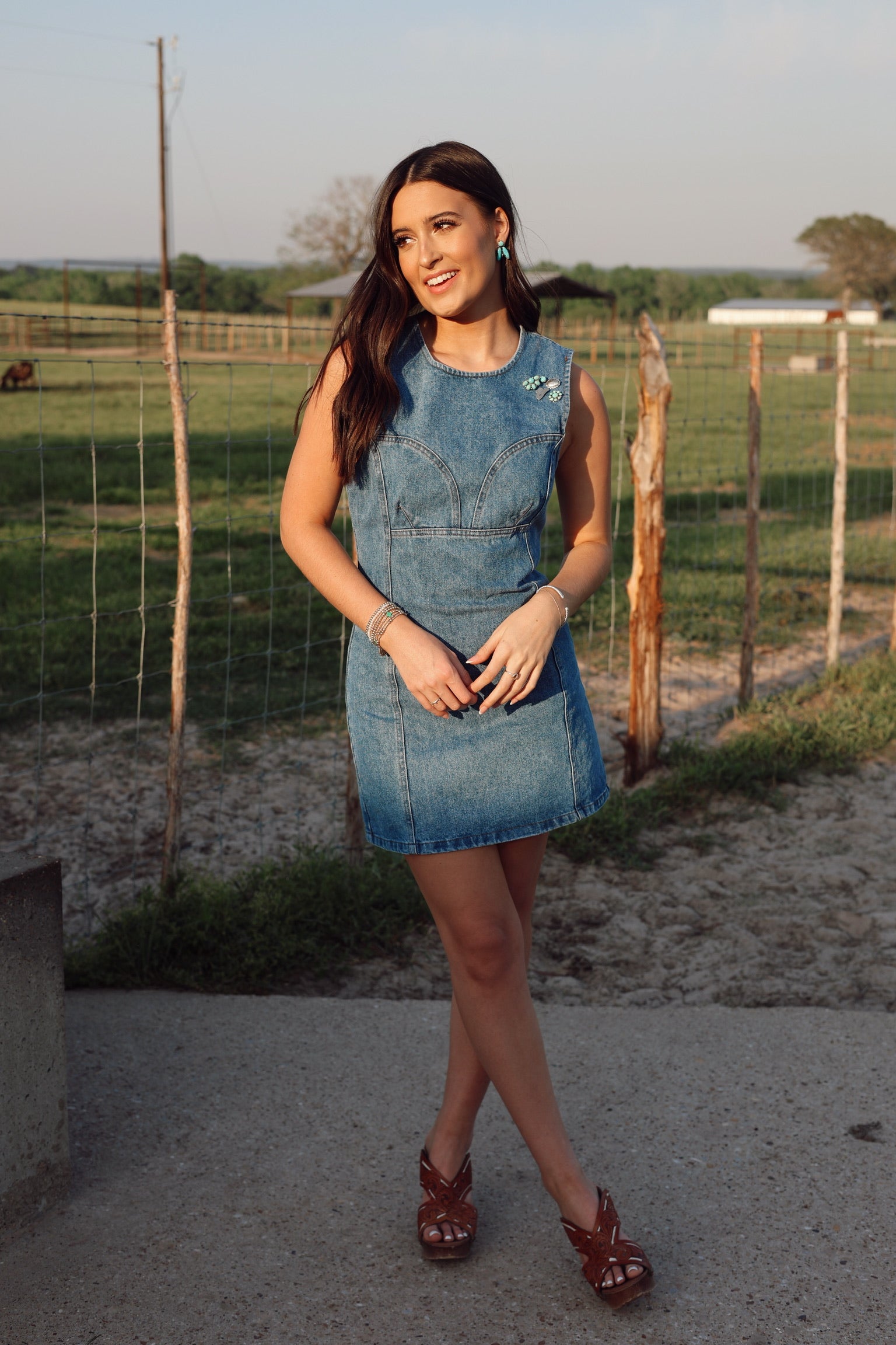 The Dallas Denim Dress-SMALL
