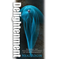 Delightenment: Escaping the Solitary Confinement of Your Prisonality - Paperback