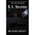 Blind Spot - Paperback
