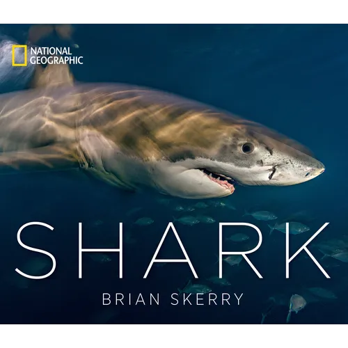 Shark - Hardcover