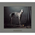 Where Hunting Dogs Rest - Hardcover
