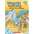 Chill of the Ice Dragon - Hardcover