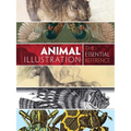 Animal Illustration: The Essential Reference - Paperback