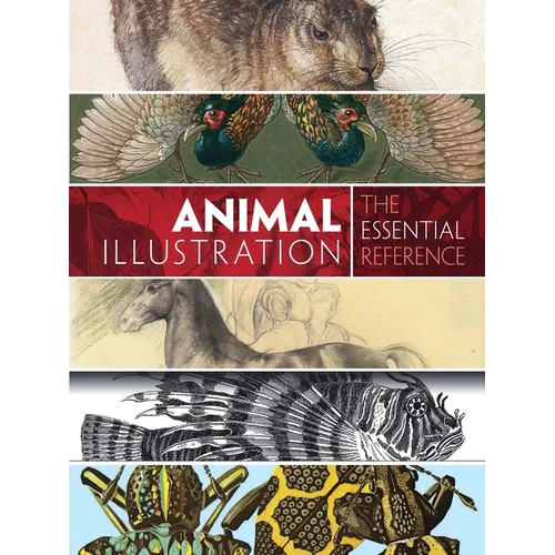 Animal Illustration: The Essential Reference - Paperback