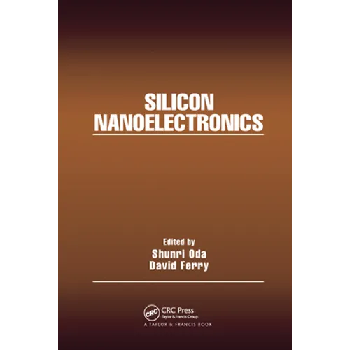 Silicon Nanoelectronics - Paperback