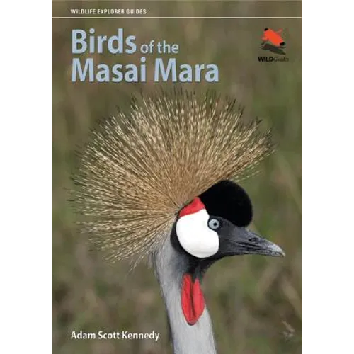 Birds of the Masai Mara - Paperback