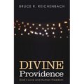 Divine Providence: God's Love and Human Freedom - Paperback
