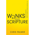 Winks from Scripture: Understanding God's Subtle Work Among Us - Paperback
