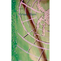 Virtual Affairs - Paperback