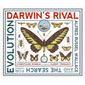 Darwin's Rival: Alfred Russel Wallace and the Search for Evolution - Hardcover