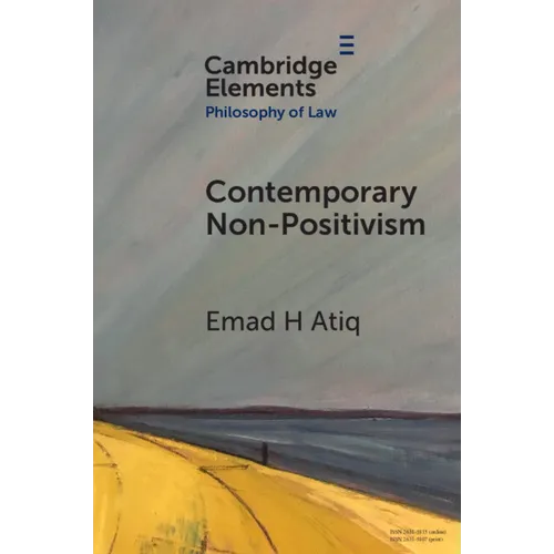 Contemporary Non-Positivism - Paperback