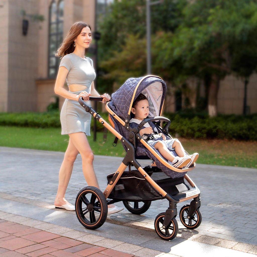 Landscape Stroller With A Reclining Feature And Foldable Design