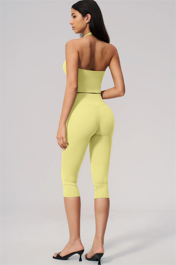 The Twirl Wide Strap Halter Crop Top