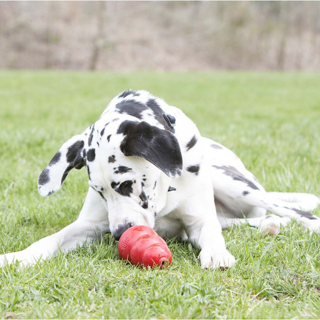 Kong Stuff'N Tube (5oz)