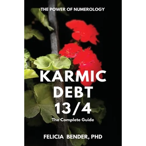 The Power of Numerology: Karmic Debt 13/4 - Paperback
