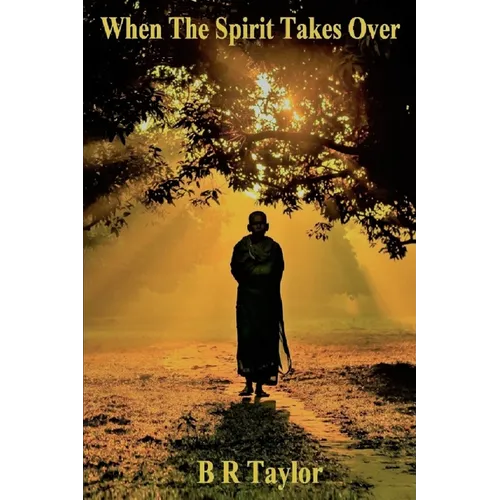 When The Spirit Takes Over - Paperback