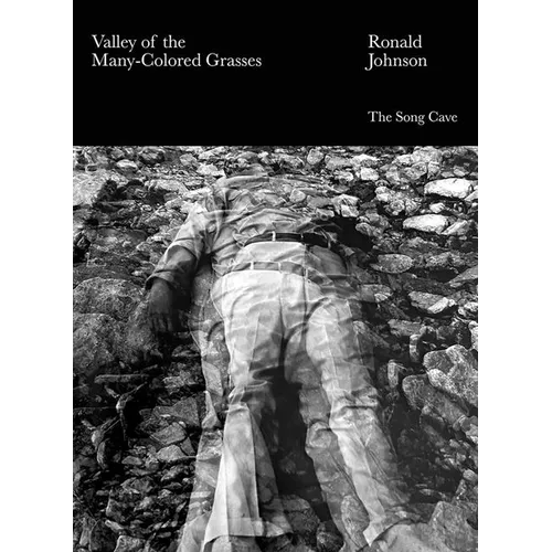 Valley of the Many-Colored Grasses - Paperback
