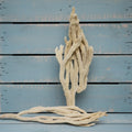 Natural Ocean Finger Sea Sponge