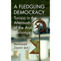 A Fledgling Democracy: Tunisia in the Aftermath of the Arab Uprisings - Paperback