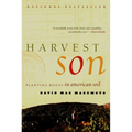 Harvest Son: Planting Roots in American Soil - Paperback