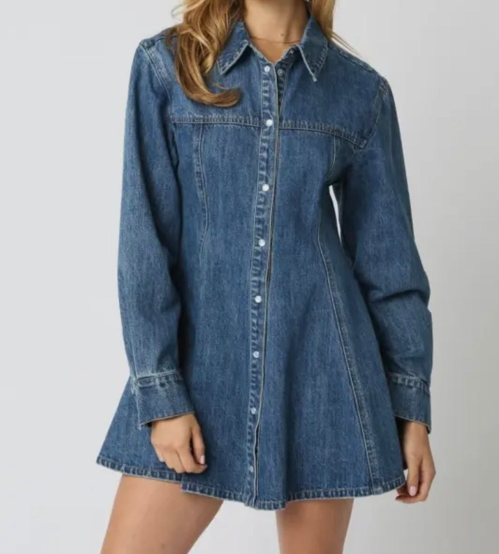 The Dani Denim Dress