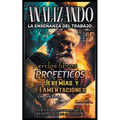 Analizando la Enseñanza del Trabajo en el Libro Profético de Jeremías y Lamentaciones - Paperback