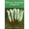 Bright Shadow of Reality: Spiritual Longing in C. S. Lewis - Paperback