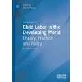 Child Labor in the Developing World: Theory, Practice and Policy - Paperback