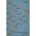 Pigeons and How to Keep Them - Paperback