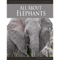 All About Elephants - Paperback