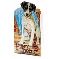 Puppy Dog's ABC Shape Book - Paperback