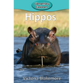 Hippos - Paperback
