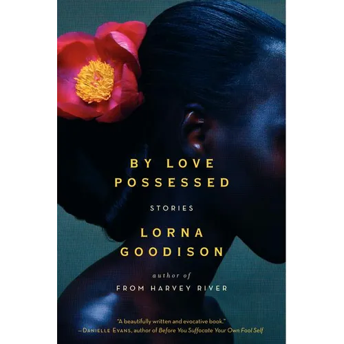 By Love Possessed: Stories - Paperback