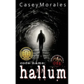 Hallum: An m/m romance spy thriller - Paperback