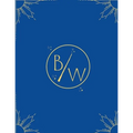Birth Wizard's VBAC Wizard Training Manual: VBAC Wizard Training Manual - Paperback