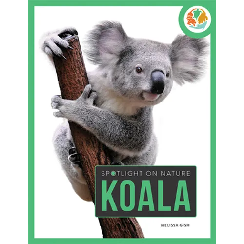Koala - Paperback